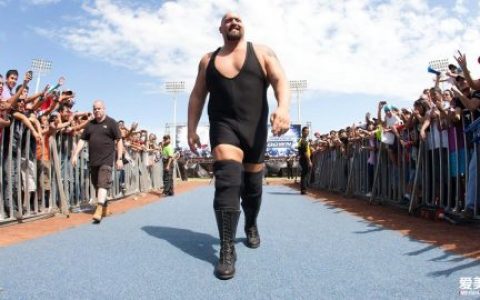 wwe 超级巨星 大秀哥