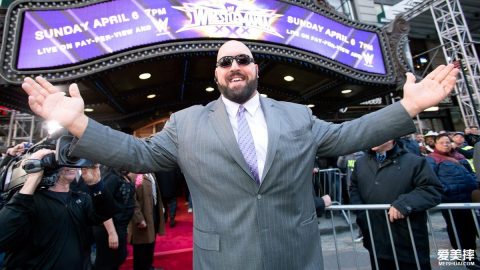 wwe 超级巨星 大秀哥