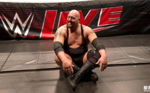 wwe 超级巨星 大秀哥