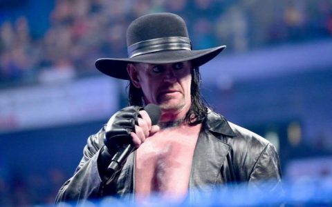 WWE摔跤狂热大赛2015 死亡谷主人送葬者遇上恐惧代言人布雷怀特