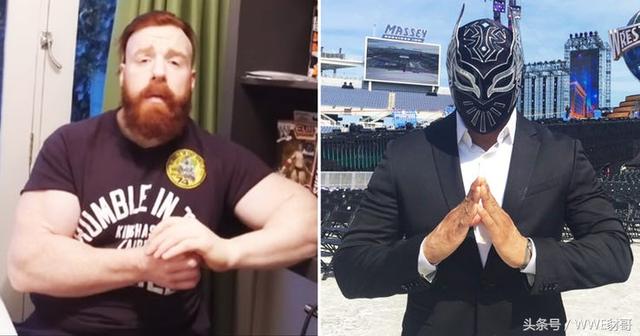 WWE选手真打起来谁最猛？盘点知名巨星的后台真打事件！