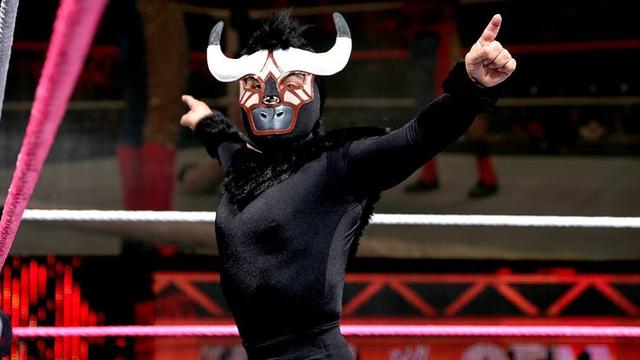 身高只有134cm，却曾击败WWE冠军！盘点WWE最矮小的五位选手