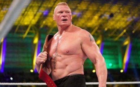 wwe超级巨星布洛克莱斯纳