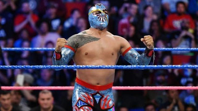 WWE终极BOSS黑羊的薪水竟低成这样？盘点五个薪水极不合理的选手