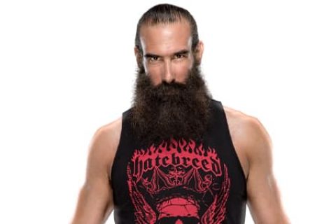 卢克哈珀（Luke Harper）已逝