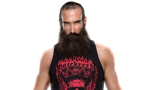 卢克哈珀（Luke Harper）已逝