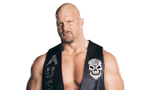 史蒂夫·奥斯汀认为这两名UFC选手，可以跨界进入WWE