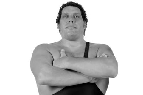 巨人安德雷（Andre the Giant）