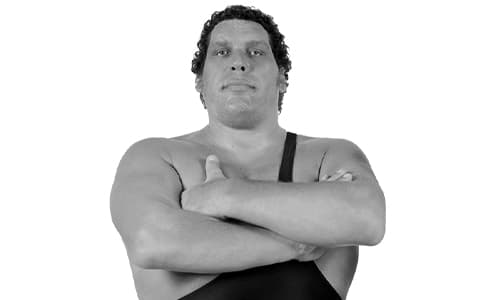 巨人安德雷（Andre the Giant）