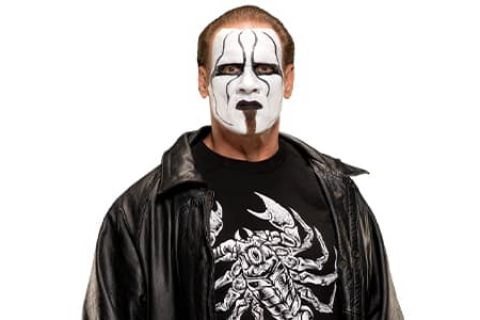 斯汀（Sting）