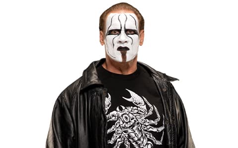 斯汀（Sting）