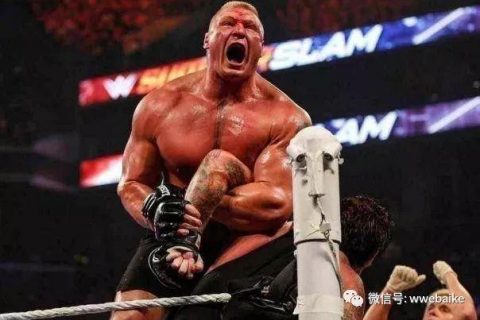 WWE选手们当年的黑历史！送葬者曾被黄瓜吓坏
