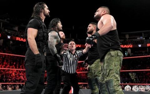 WWE号称小圣盾的AOP组合，第二支防弹衣军团！未来或许媲美圣盾