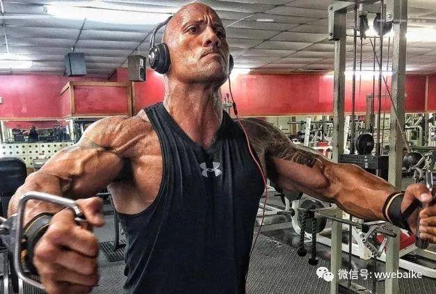 WWE选手们当年的黑历史！送葬者曾被黄瓜吓坏