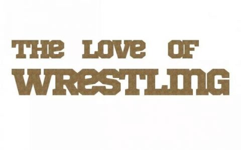 WWE传奇送葬者也堕落了？见面会不签名只合影，合影一次150英镑