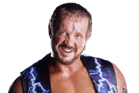 DDP（Diamond Dallas Page）