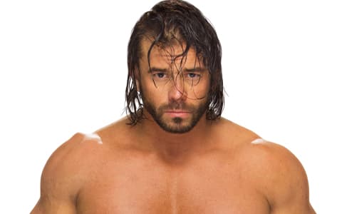 亚历克斯·莱利（Alex Riley）