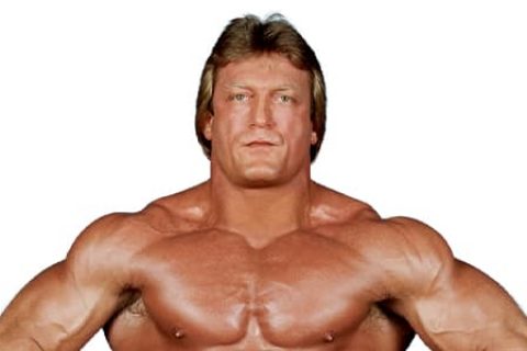 保罗·奥恩多夫（Paul Orndorff）