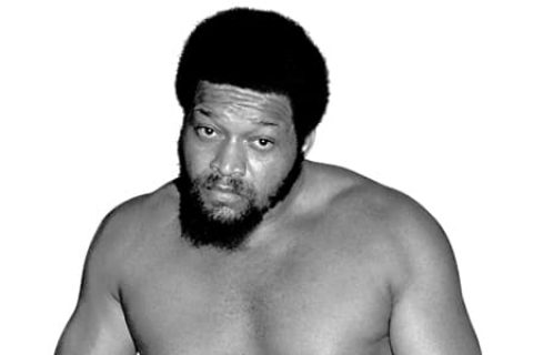 厄尼拉德（Ernie Ladd）
