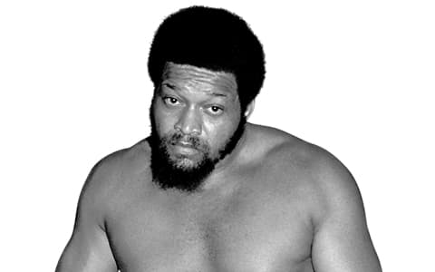 厄尼拉德（Ernie Ladd）