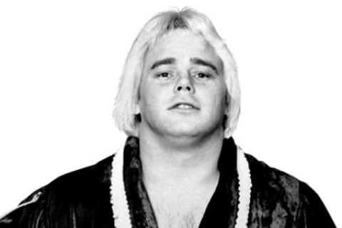 巴迪罗斯（Buddy Rose）