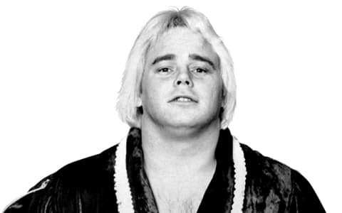 巴迪罗斯（Buddy Rose）