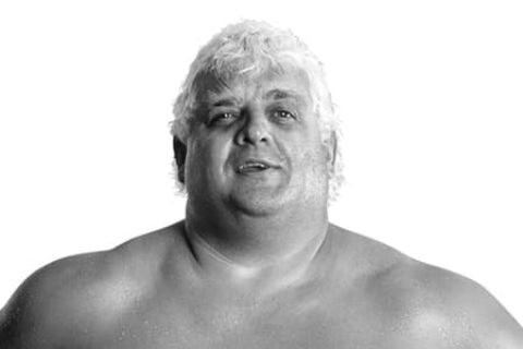 杜斯提罗兹（Dusty Rhodes）