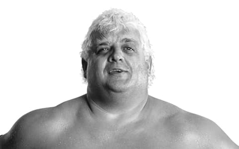 杜斯提罗兹（Dusty Rhodes）