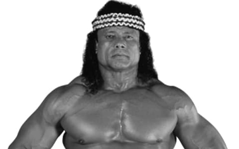 杰米·斯洛卡（Jimmy Snuka）