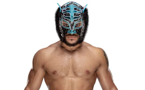 林斯·多拉多（Lince Dorado）