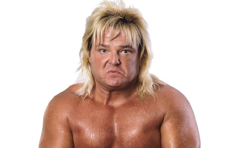 格雷格·瓦伦廷（Greg Valentine）
