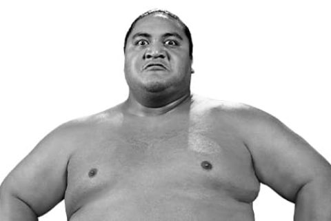 横纲（Yokozuna）