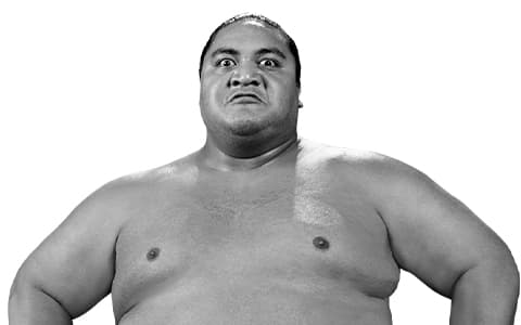 横纲（Yokozuna）