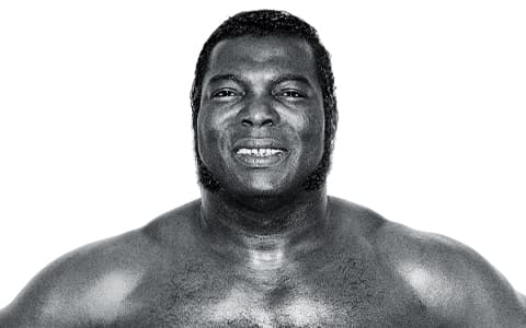 波波巴西（Bobo Brazil）