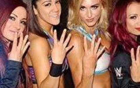 WWE女子四骑士VSUFC女子四骑士计划泡汤？