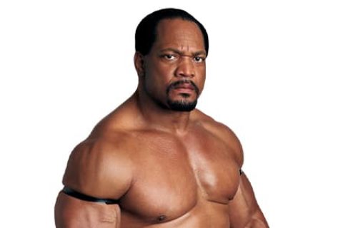 罗恩·西蒙斯（Ron Simmons）