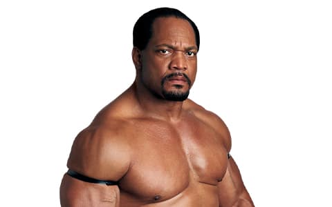 罗恩·西蒙斯（Ron Simmons）