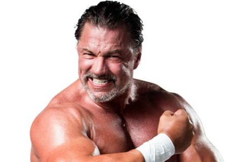 艾尔斯诺（Al Snow）