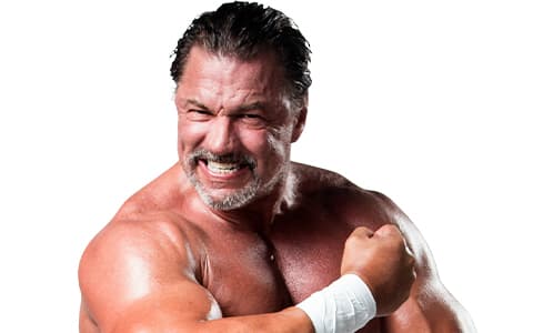 艾尔斯诺(Al Snow)