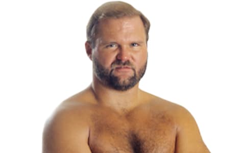 阿恩安德森（Arn Anderson）