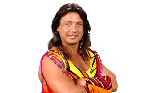 马蒂·詹内蒂（Marty Jannetty）