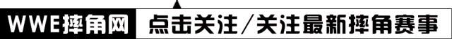 阿莱克萨·布利斯向摔迷征集招式名称 阿莱克萨·布利斯向摔迷征集招式名称