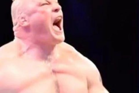 WWE巨星对应的动物,塞纳像老虎,高柏像..