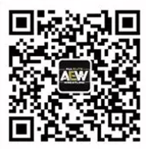 AEW DON科迪罗兹vs.亲哥(金沙封棺退役赛)
