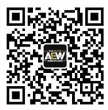 AEW Double or Nothing 多人比赛（类似于WWE上绳挑战赛）