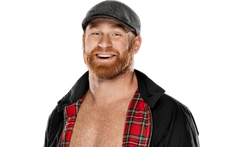 WWE洲际冠军萨米辛