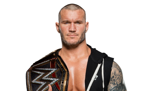 WWE冠军