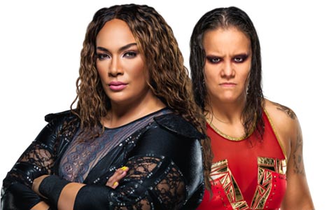 新的女子团队冠军头衔即将面世，WWE有望在近期增加NXT女子团队冠军
