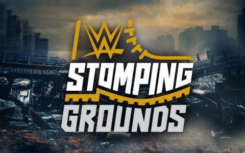 WWE震撼领地PPV上是粉丝变坏了还是WWE真的变差了