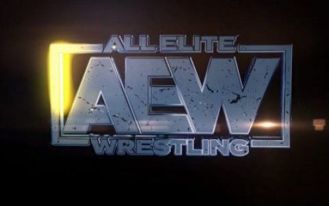 各施法术?AEW已获批准让观众进场!WWE使出高科技方式回应！